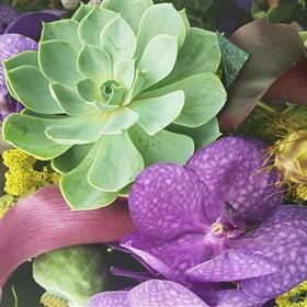 fwthumbRHS Jasmine Rays Florist 0008.jpg